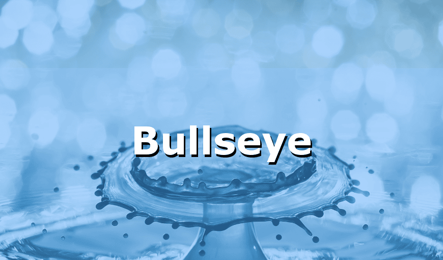 bullseye software liquid logics